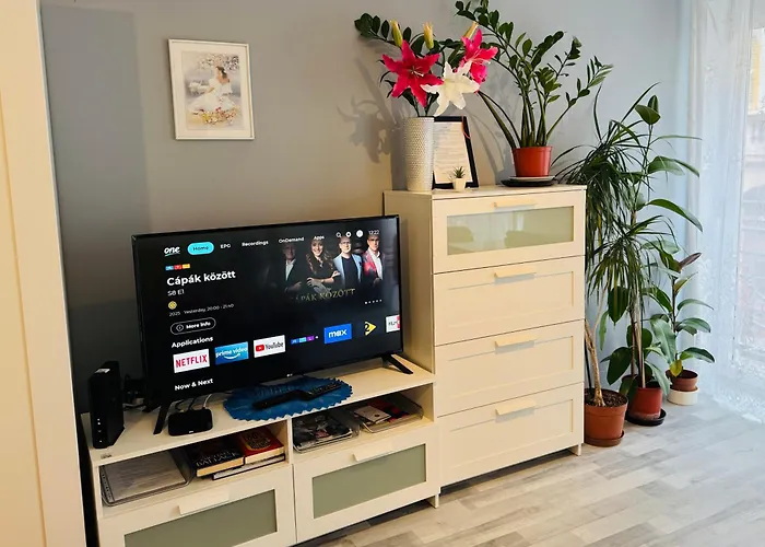 Onyx Apartment With Free Private Garage + Ac